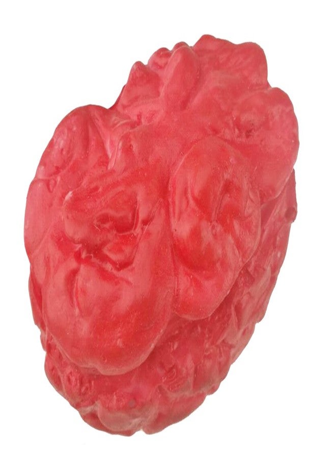 Unigift Bloody Scary Fake Human Brain Horrible Heart Organ for Trick Toys Halloween Props Festival Decoration Haunted House - Image 4